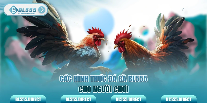 Các hình thức đá gà BL555 cho người chơi