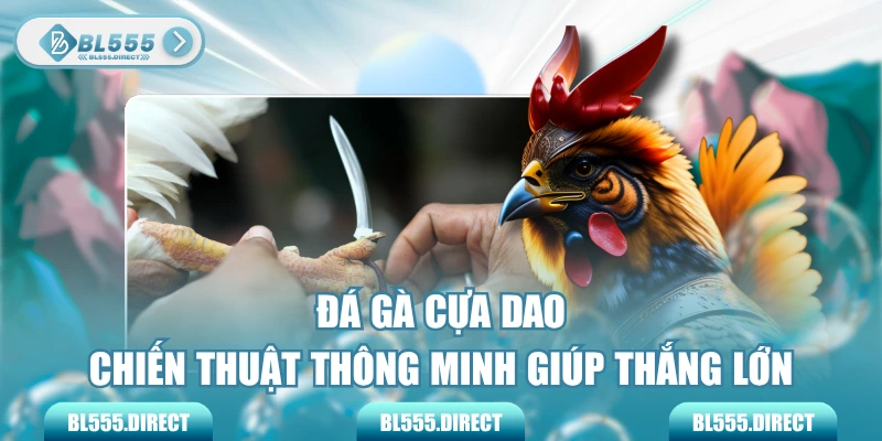 Đá Gà Cựa Dao - Chiến Thuật Thông Minh Giúp Thắng Lớn