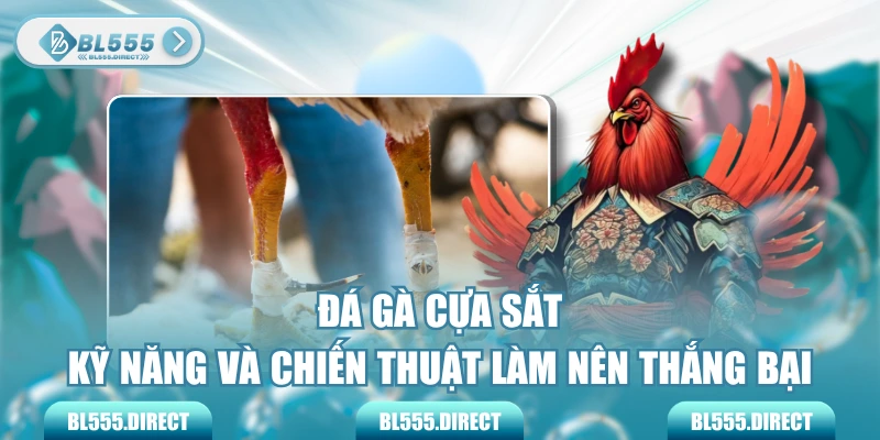 Đá Gà Cựa Sắt - Kỹ Năng Và Chiến Thuật Làm Nên Thắng Bại