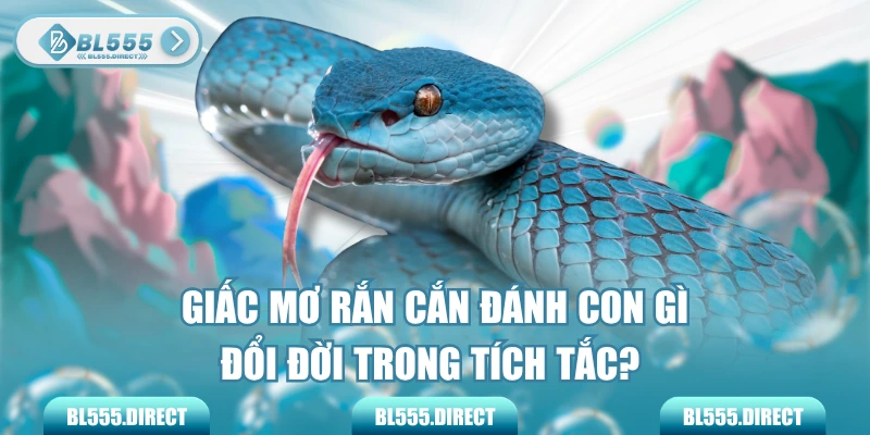 Giấc Mơ Rắn Cắn Đánh Con Gì Đổi Đời Trong Tích Tắc?
