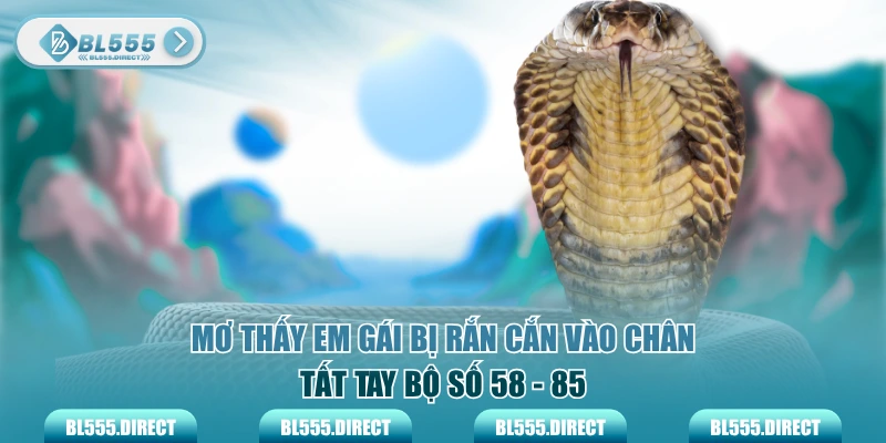 Mơ thấy em gái bị rắn cắn vào chân tất tay bộ số 58 - 85