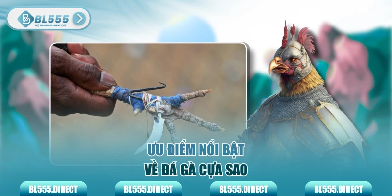 Ưu điểm nổi bật về đá gà cựa sao